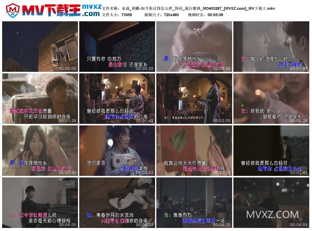 水成_胡蝶-如今你过得怎么样_国语_流行歌曲_MD403287